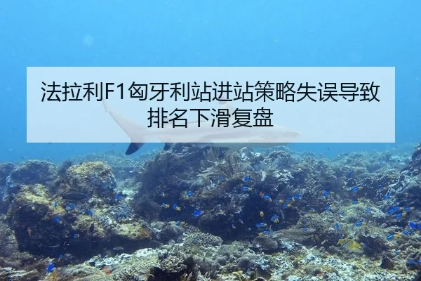 法拉利F1匈牙利站进站策略失误导致排名下滑复盘
