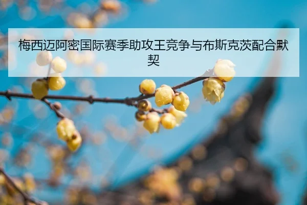 mei-xi-mai-a-mi-guo-ji-sai-ji-zhu-gong-wang-jing-zheng-yu-bu-si-ke-ci-pei-he-mo-qi-2-404.jpg