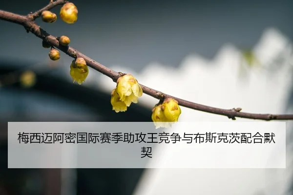mei-xi-mai-a-mi-guo-ji-sai-ji-zhu-gong-wang-jing-zheng-yu-bu-si-ke-ci-pei-he-mo-qi-3-679.jpg