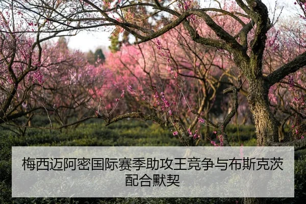 梅西迈阿密国际赛季助攻王竞争与布斯克茨配合默契