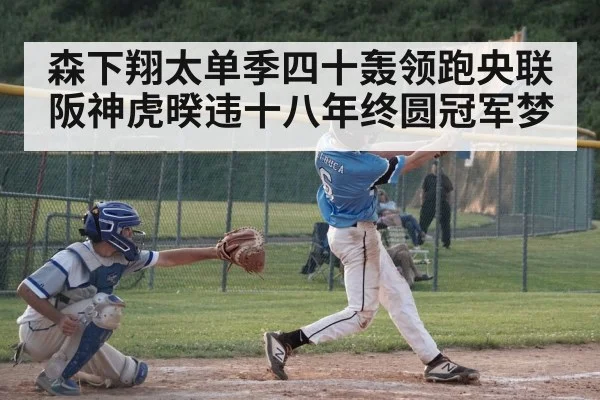 森下翔太单季四十轰领跑央联 阪神虎暌违十八年终圆冠军梦
